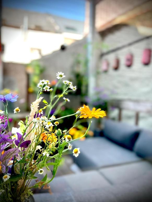 La Belletage By Agelandkaai Be With Free Parking Apartment Gent